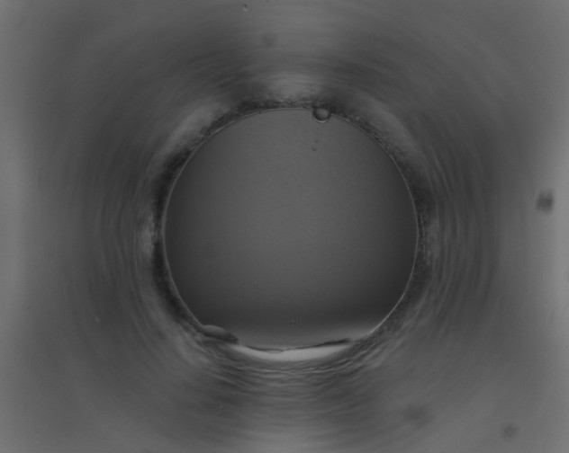 X0000094900644200712131431