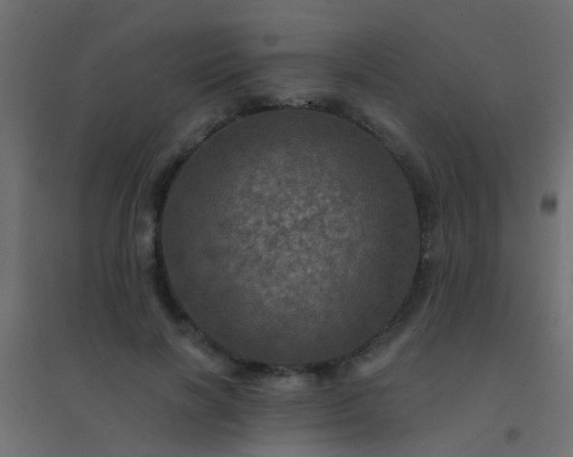 X0000094900646200712131431