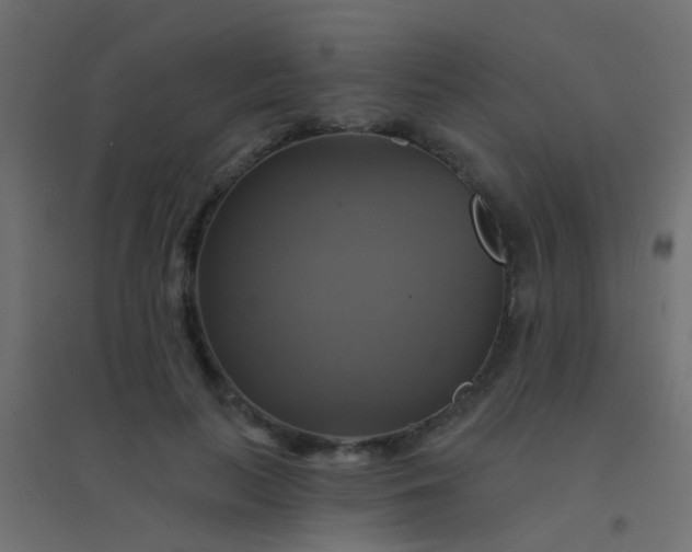 X0000094900647200712131431