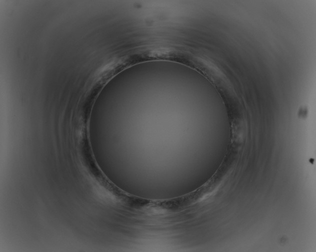 X0000094900648200712131431