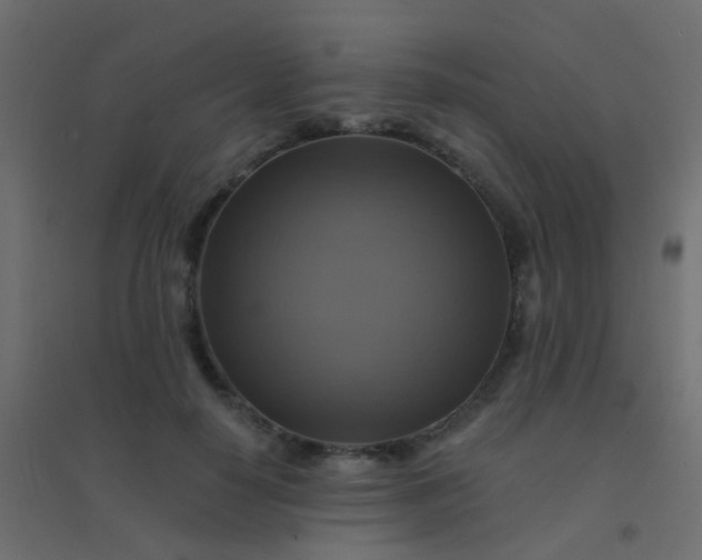 X0000094900650200712131431