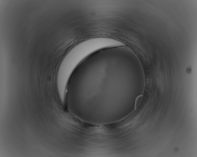 X0000094900652200712131431