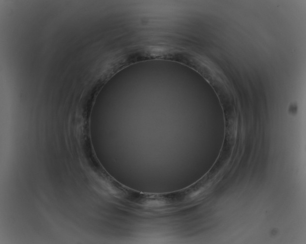 X0000094900653200712131431