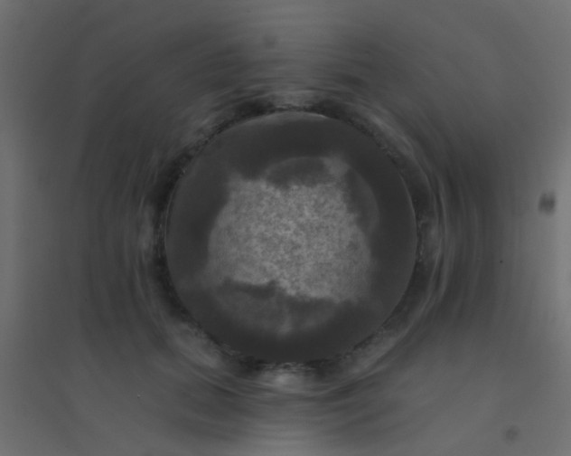 X0000094900655200712131431