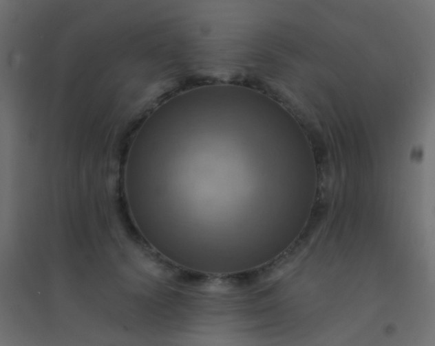 X0000094900656200712131431