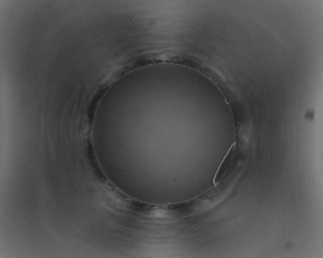 X0000094900657200712131432