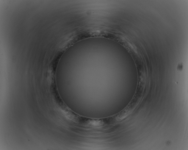 X0000094900659200712131432