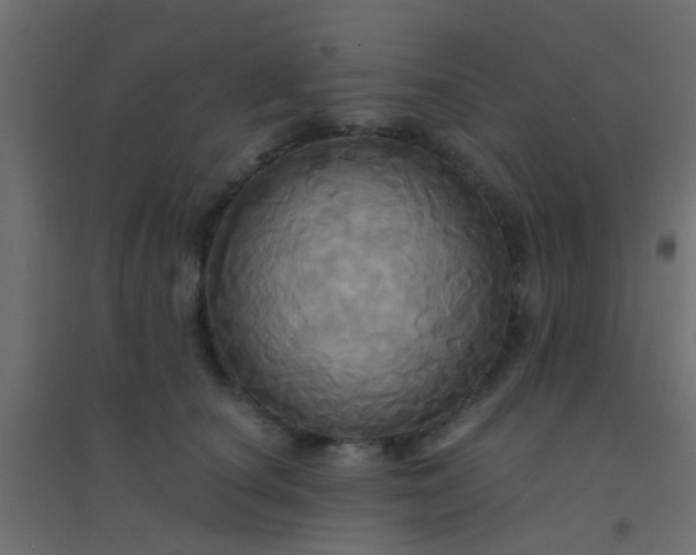 X0000094900660200712131432