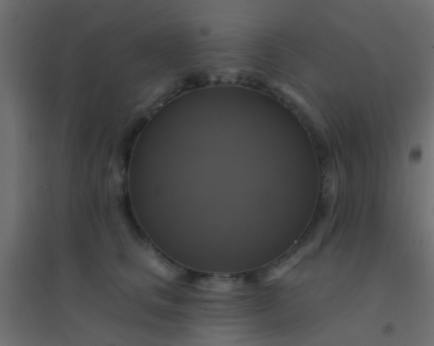 X0000094900661200712131432