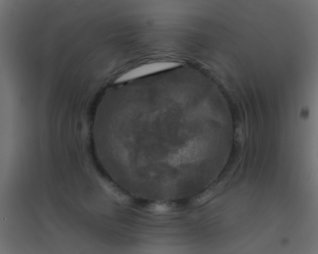 X0000094900662200712131432