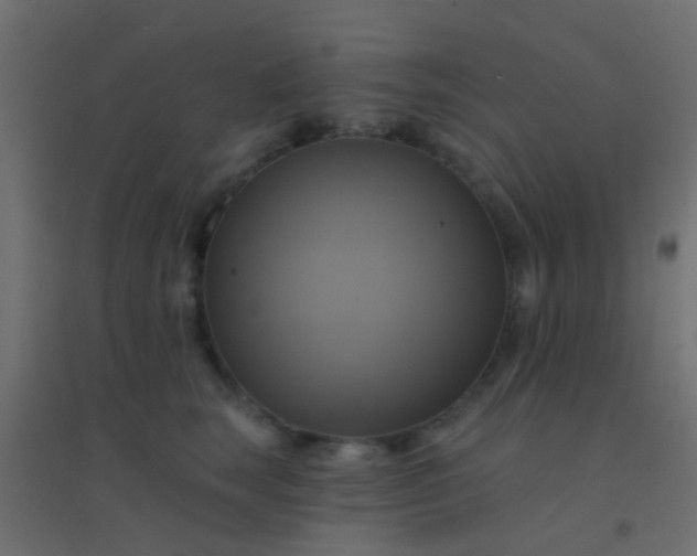 X0000094900663200712131432