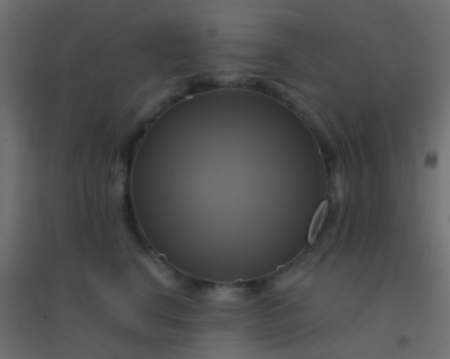 X0000094900664200712131432