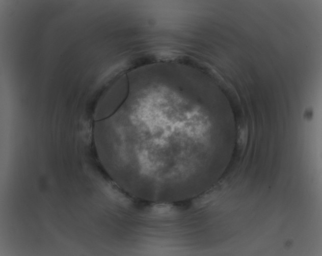 X0000094900666200712131432