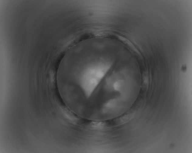 X0000094900667200712131432