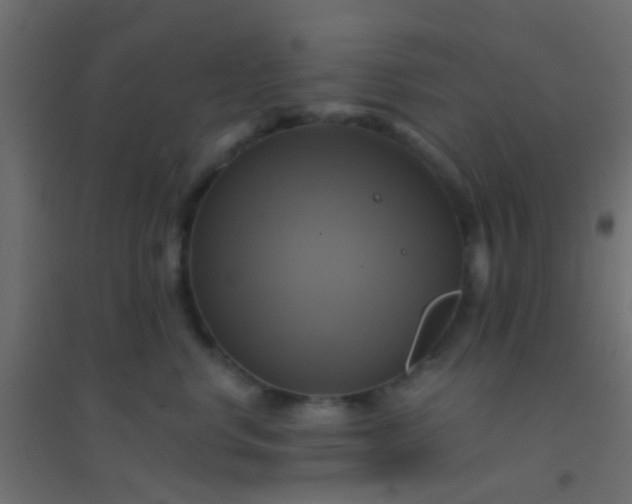 X0000094900668200712131432