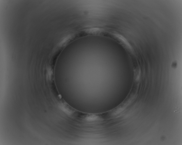 X0000094900669200712131432