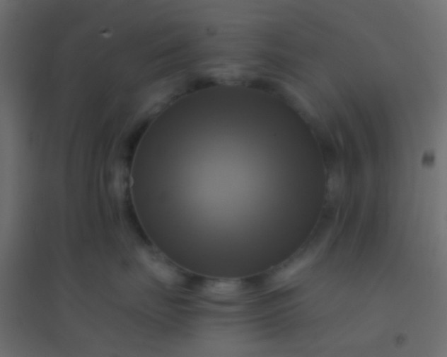 X0000094900671200712131432