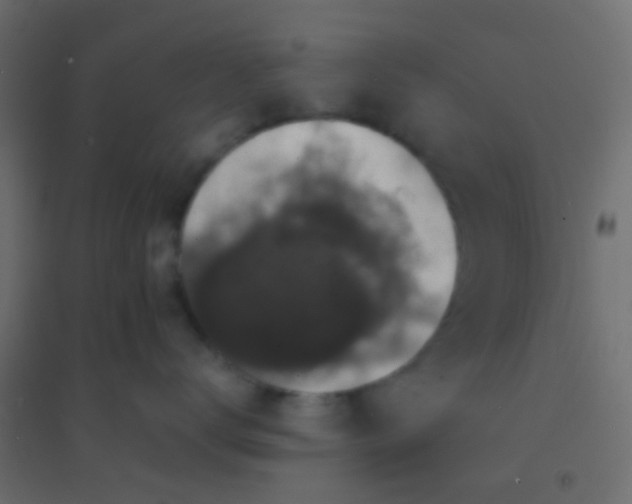X0000094900672200712131432