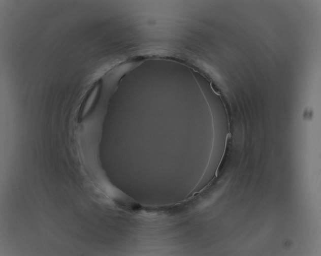 X0000094900673200712131431