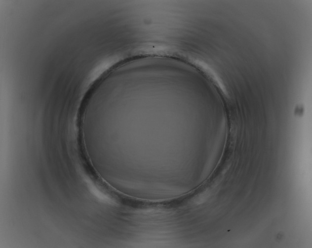 X0000094900674200712131431