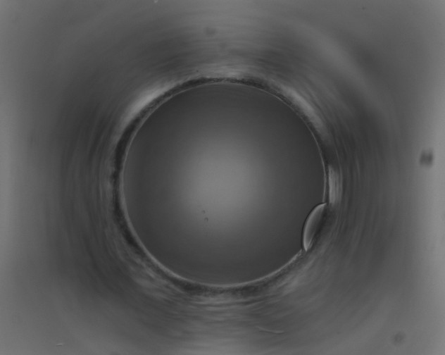 X0000094900675200712131431