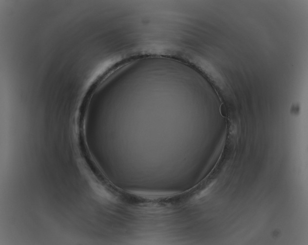 X0000094900678200712131431