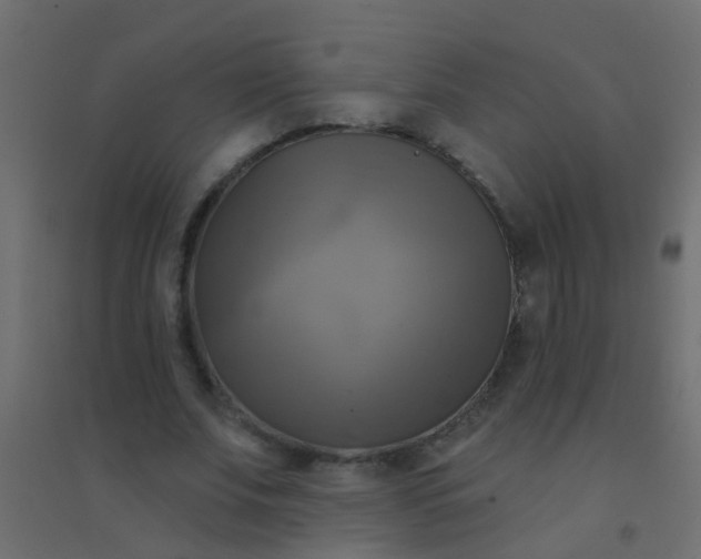 X0000094900679200712131431