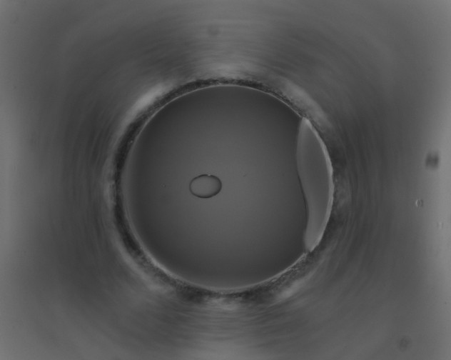 X0000094900680200712131431