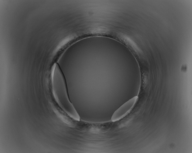 X0000094900684200712131431