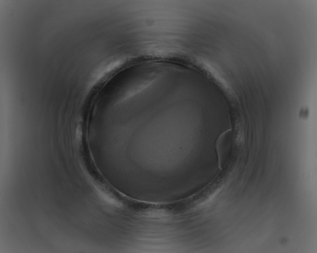 X0000094900685200712131431