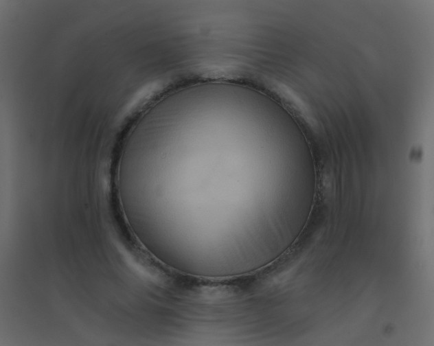 X0000094900686200712131431