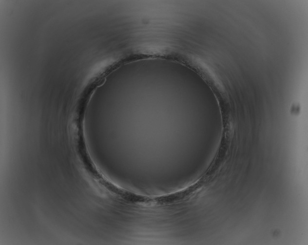 X0000094900688200712131431