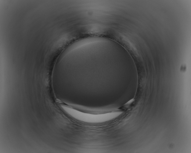 X0000094900689200712131431