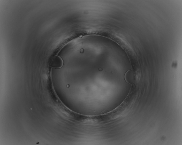 X0000094900691200712131431