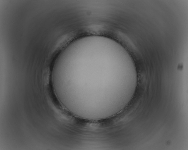 X0000094900694200712131431