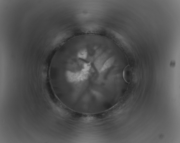 X0000094900695200712131431