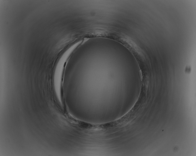 X0000094900696200712131431