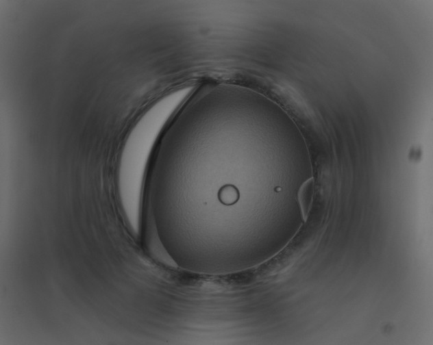X0000094900697200712131431