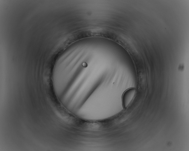 X0000094900698200712131431