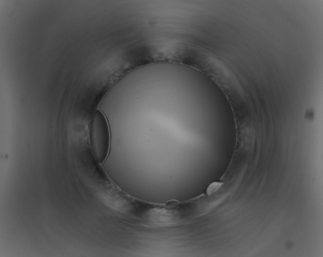 X0000094900699200712131431