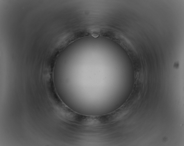 X0000094900702200712131431