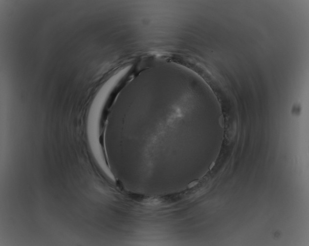 X0000094900704200712131430