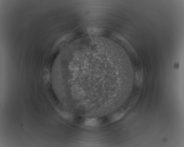 X0000094900705200712131430