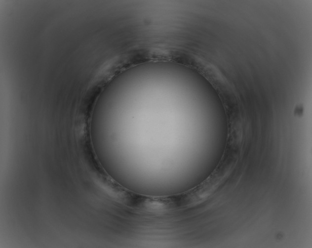 X0000094900706200712131430