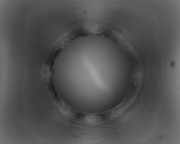 X0000094900707200712131430
