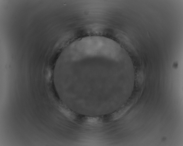 X0000094900709200712131430