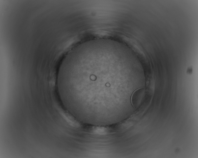 X0000094900710200712131430