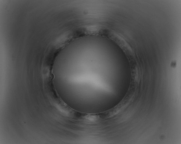X0000094900711200712131430