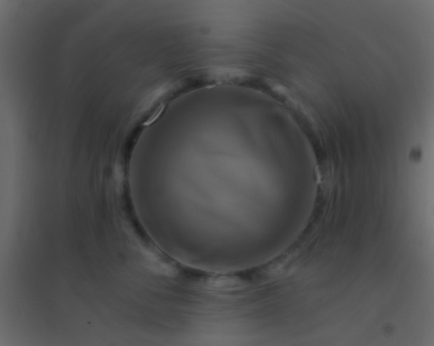 X0000094900716200712131430