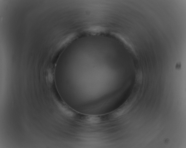 X0000094900719200712131430